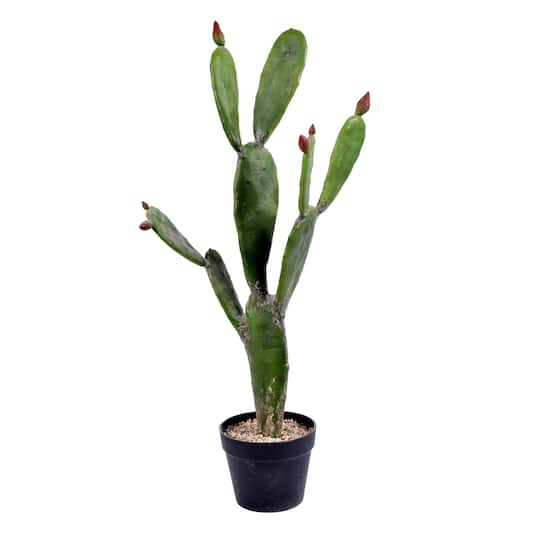 3Ft Potted Green Cactus By Vickerman | 3 ft | Michaels®